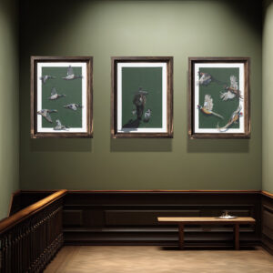 Game Birds In Flight Collection-Limited Edition Prints