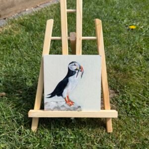 Puffins Prize